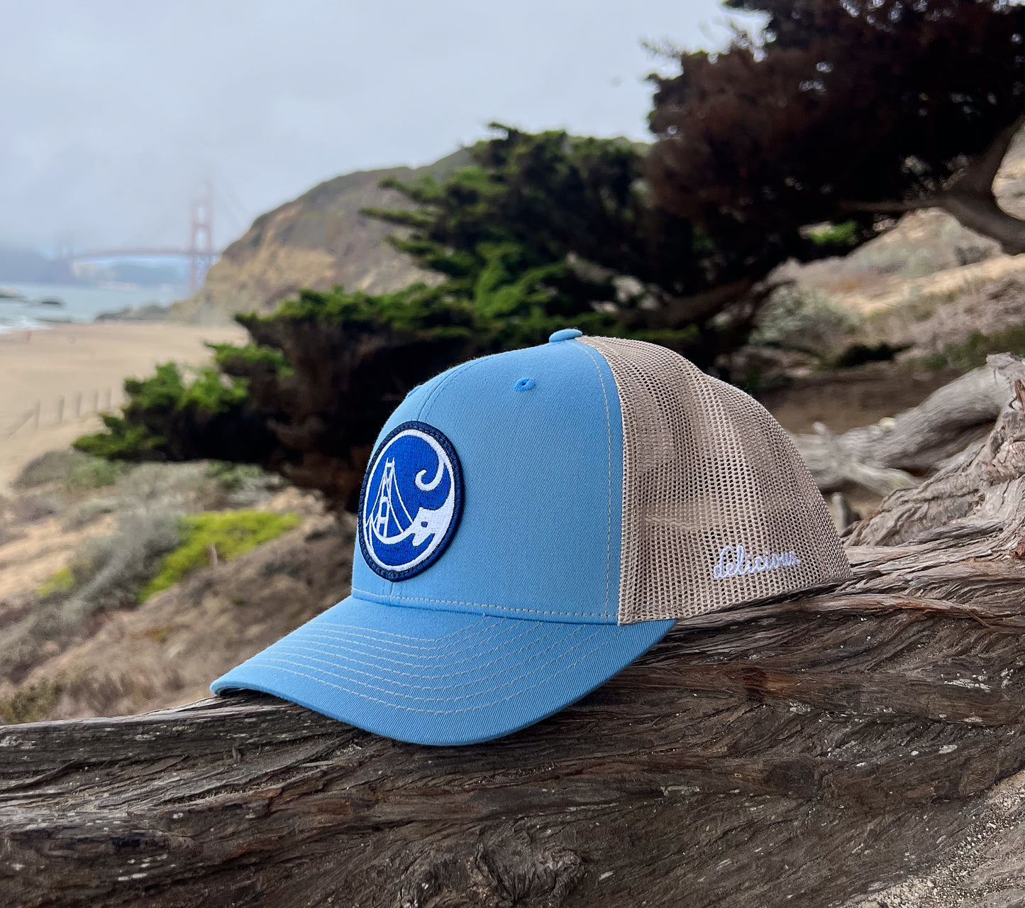 Brand Hat - delicious. Curved Brim Trucker