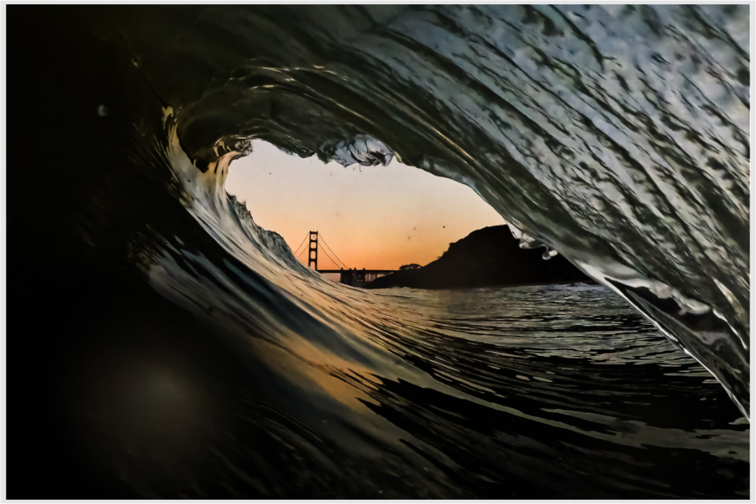 Rise of the Orange + Black