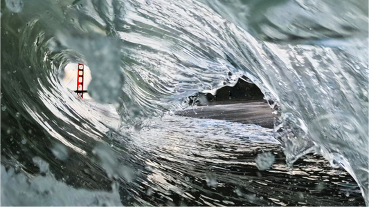 Fine Art Print: Peek