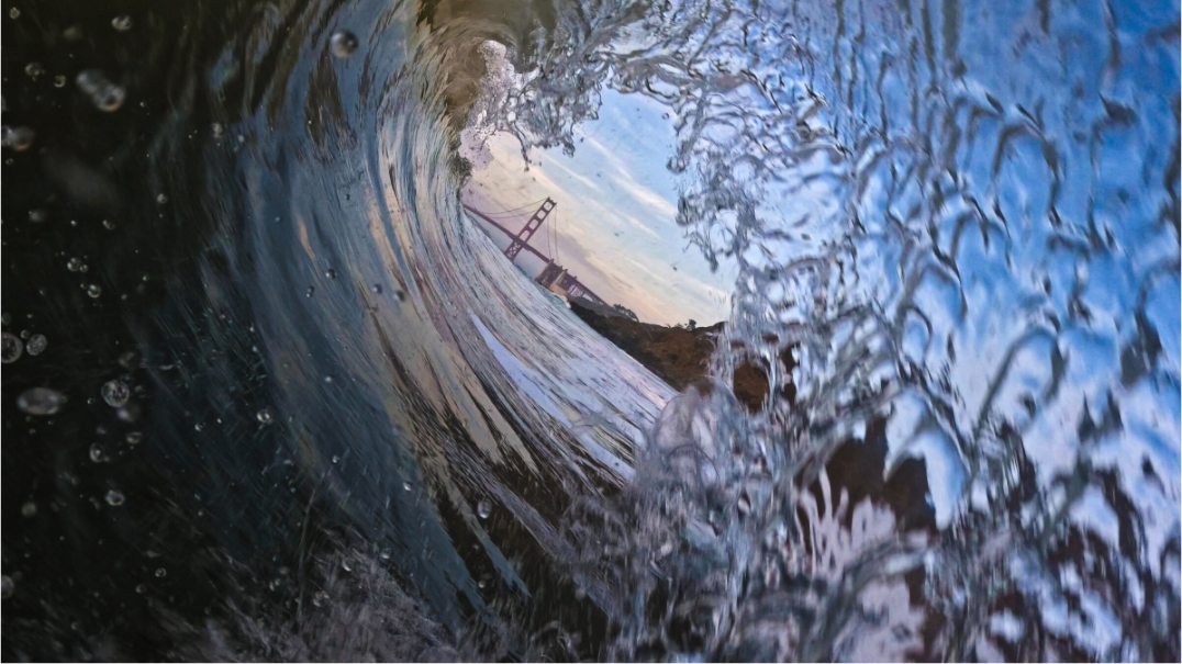 Fine Art Print: Elkhorn