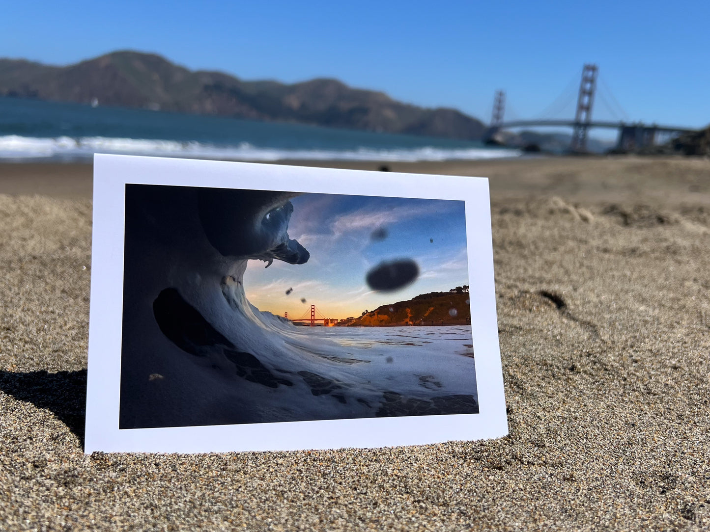 Cruiser Greeting Card: California Gold