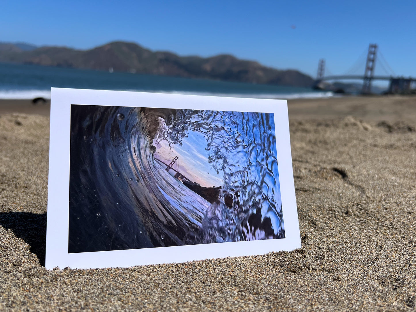 Cruiser Greeting Card: Elkhorn