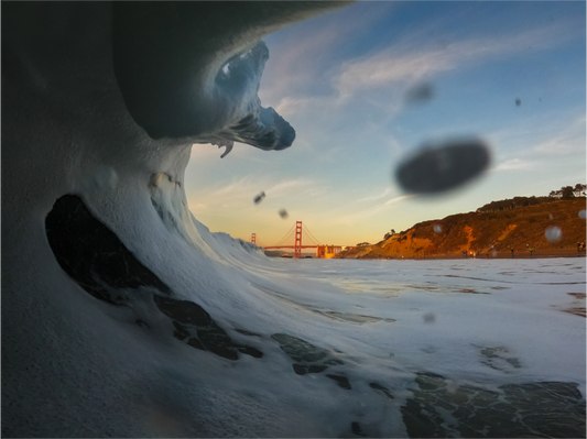 Fine Art Print: California Gold