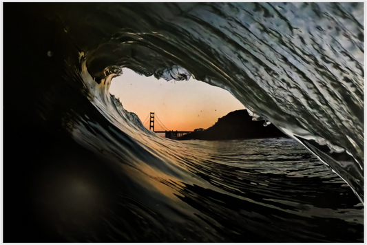 Rise of the Orange + Black